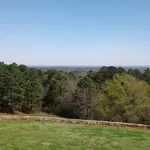 Love’s Lookout photo 4