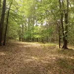 Neches River National Wildlife Refuge photo 2
