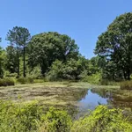 Neches River National Wildlife Refuge photo 1
