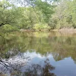 Neches River National Wildlife Refuge photo 4