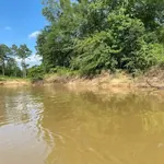 Neches River National Wildlife Refuge photo 5