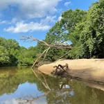 Neches River National Wildlife Refuge photo 3
